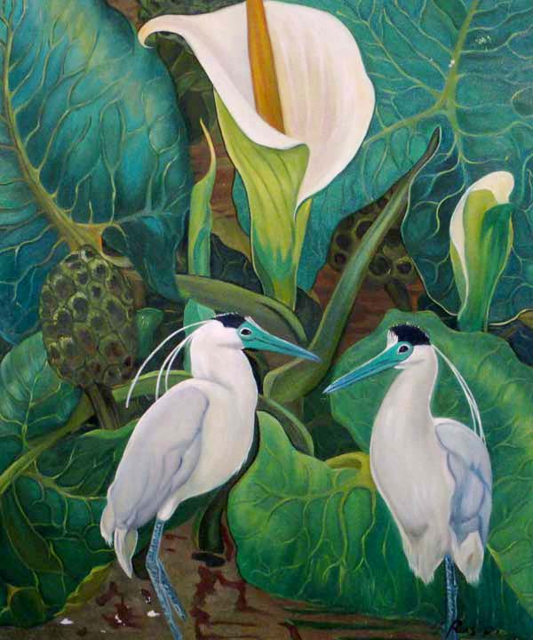 Birds