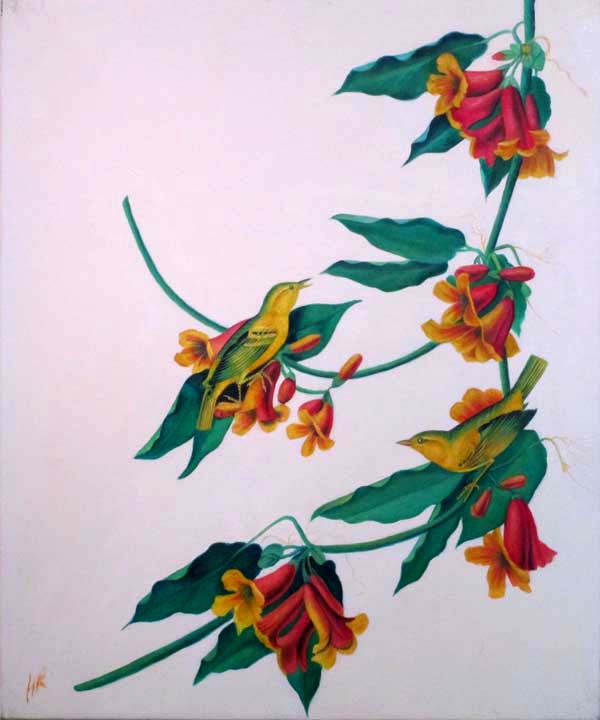 Yellow Warblers