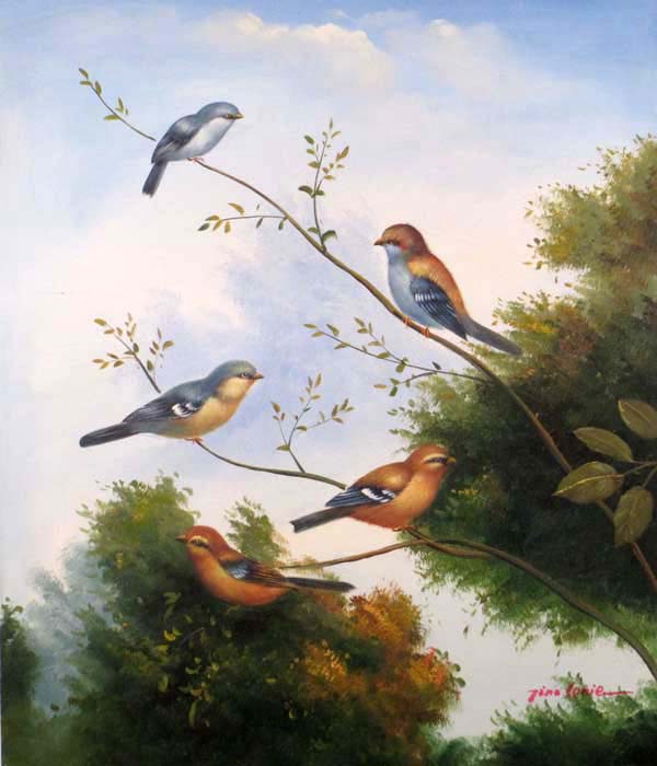 Birds
