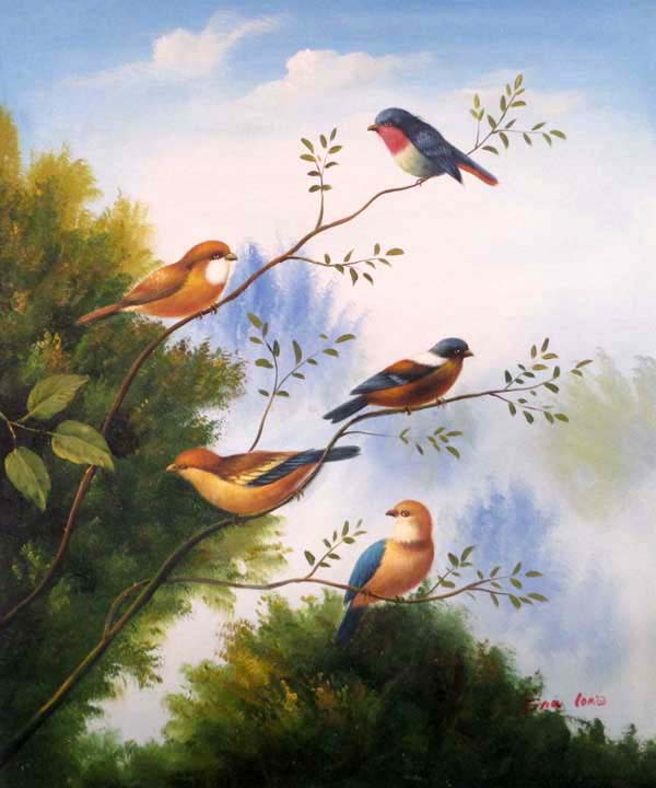 Birds