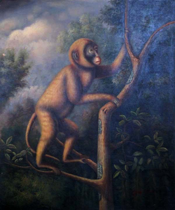 Monkey 