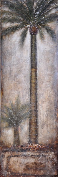 Palm Tree by David Bonii 