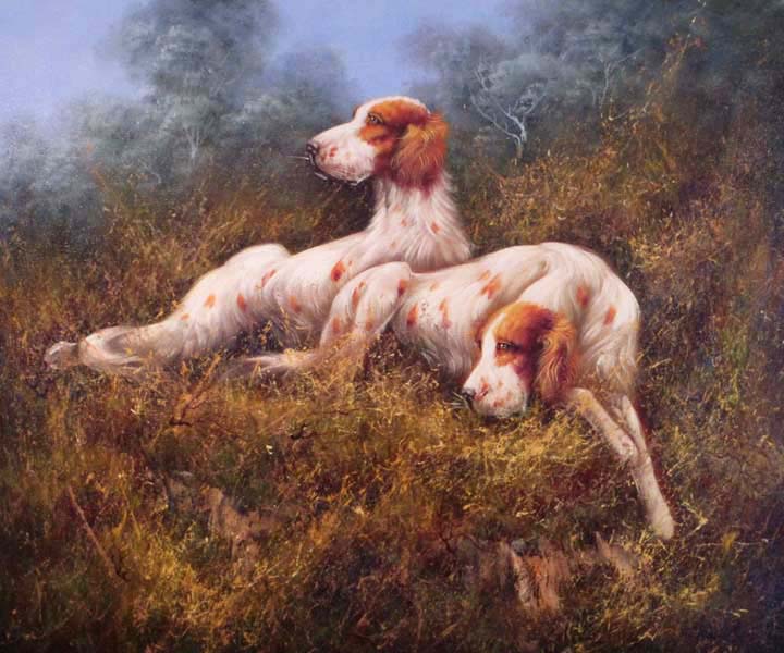  Dogs