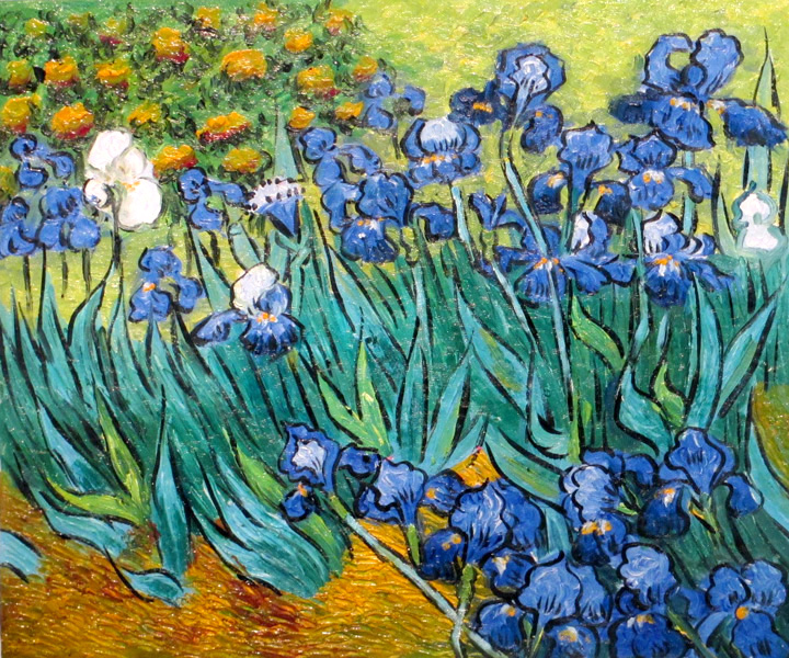 Irises