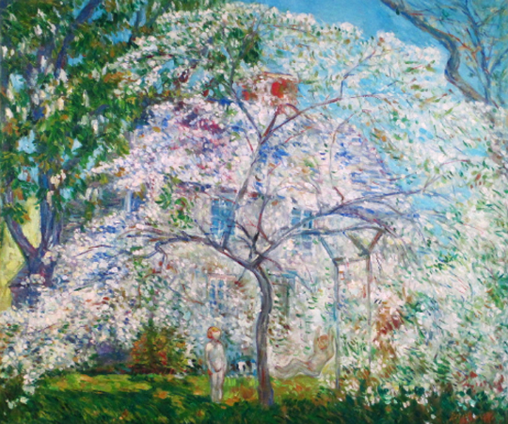 Flowering Tree  by  Zhouwei 