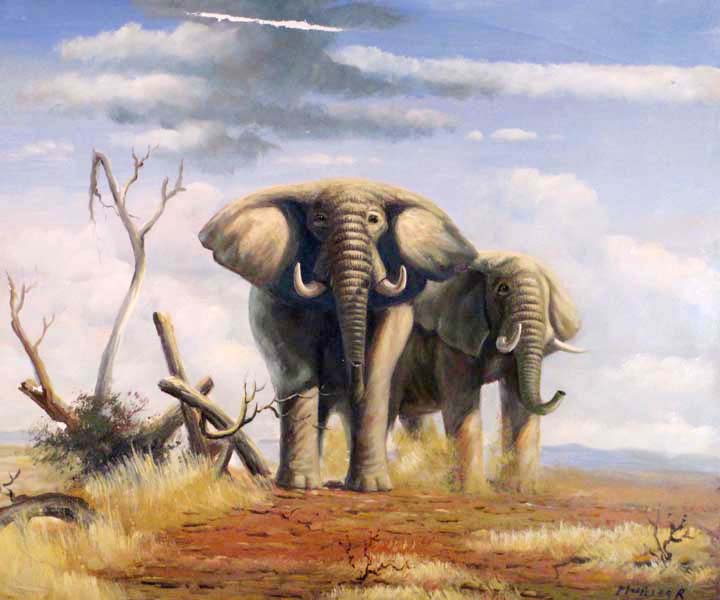  Elephant