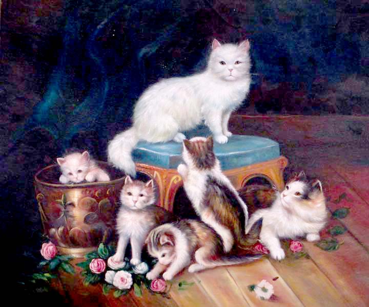 Cats