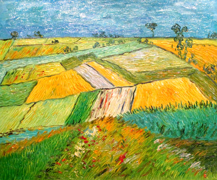 Wheat Fields after the Rain