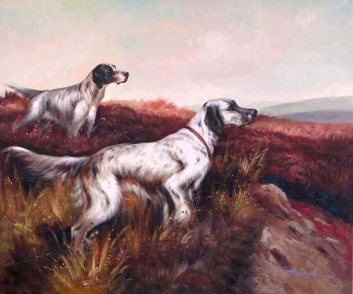  Dogs