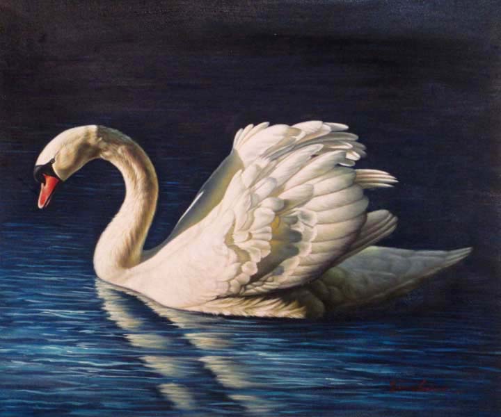 Swan By Tina Lonie, Reproduction of Carl Brenders