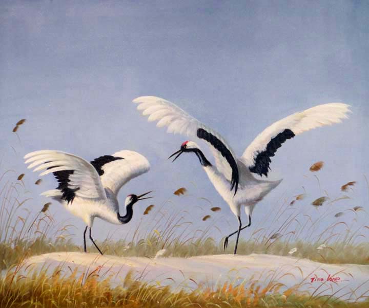Whooping Crane