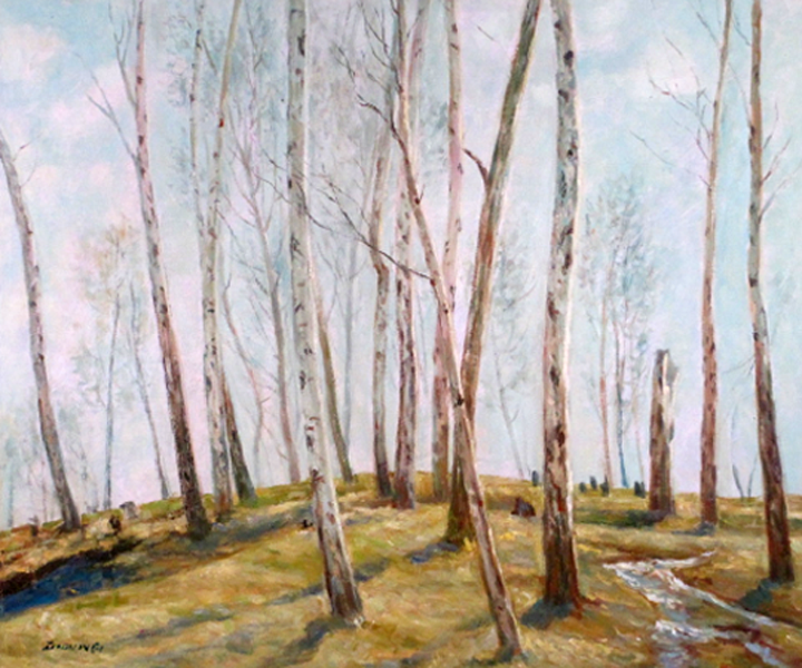 Winter Trees 
