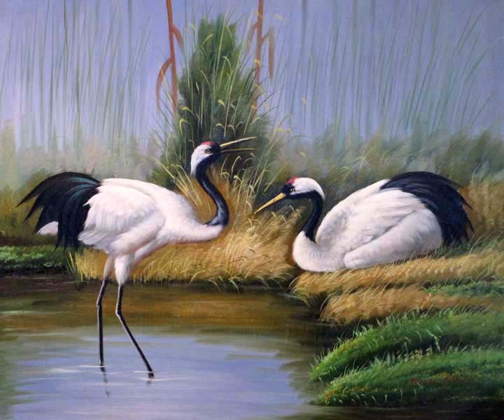 Whooping Crane