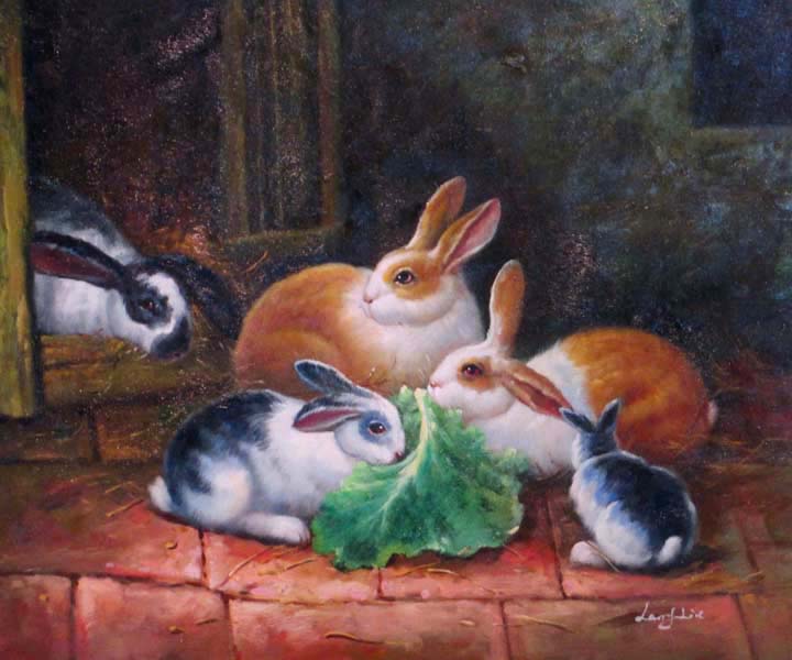  The Rabbits' Family