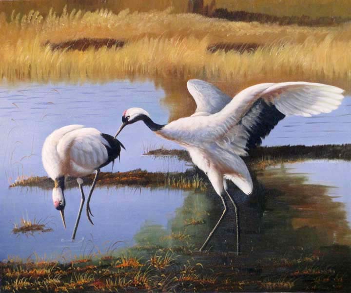 Whooping Crane