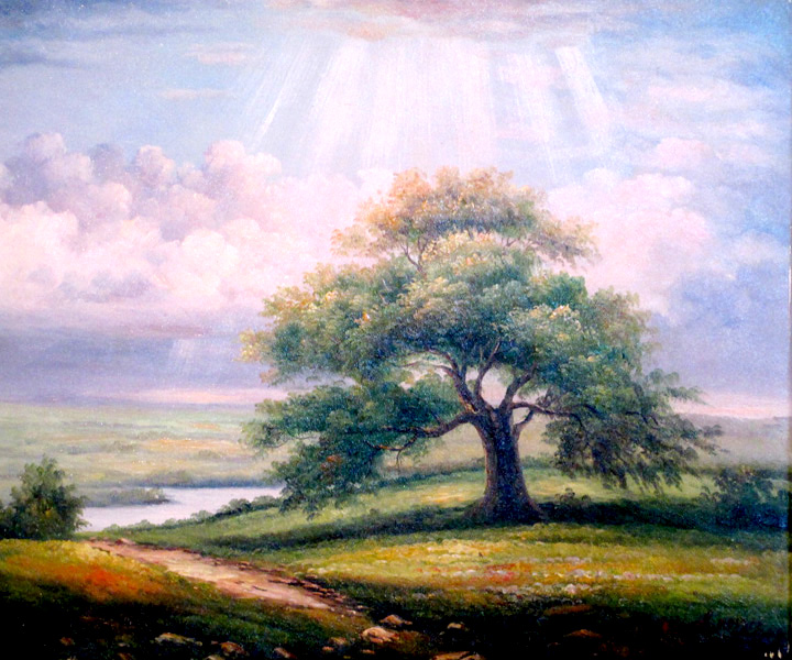 Landscape