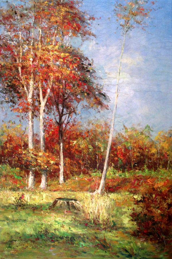Landscape