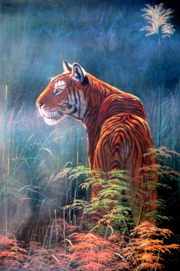 Tiger 