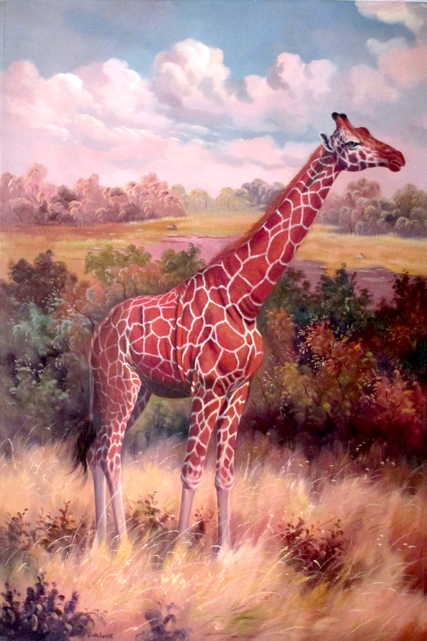 Giraffe