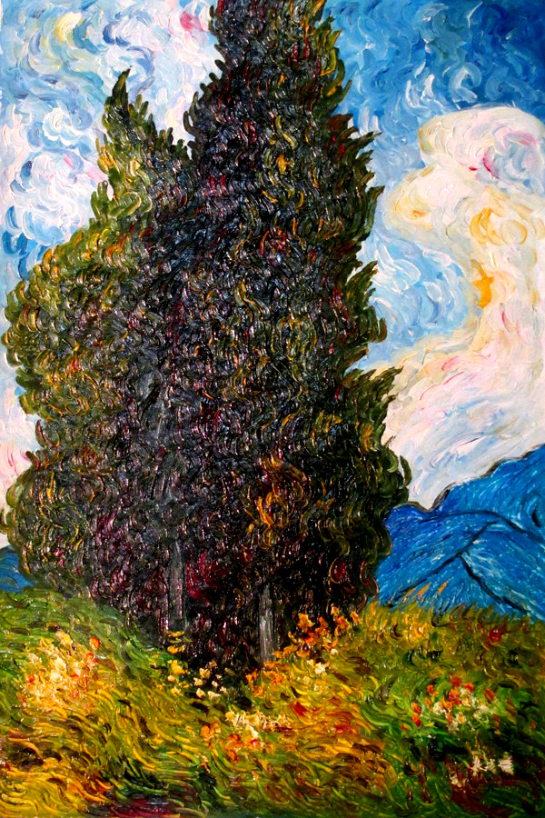 Studying Van Gogh