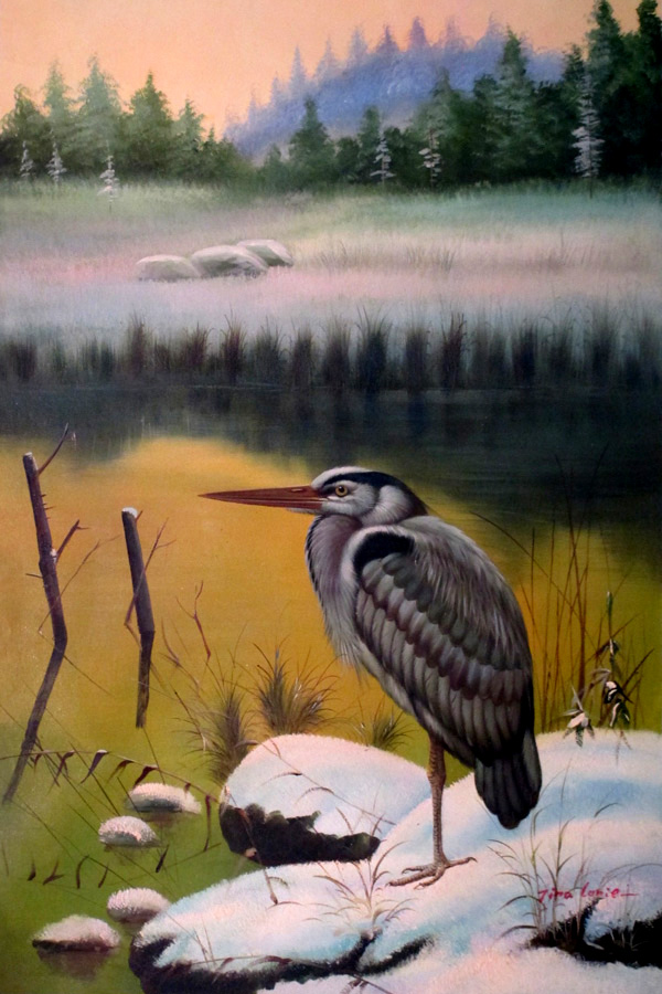  A Bird