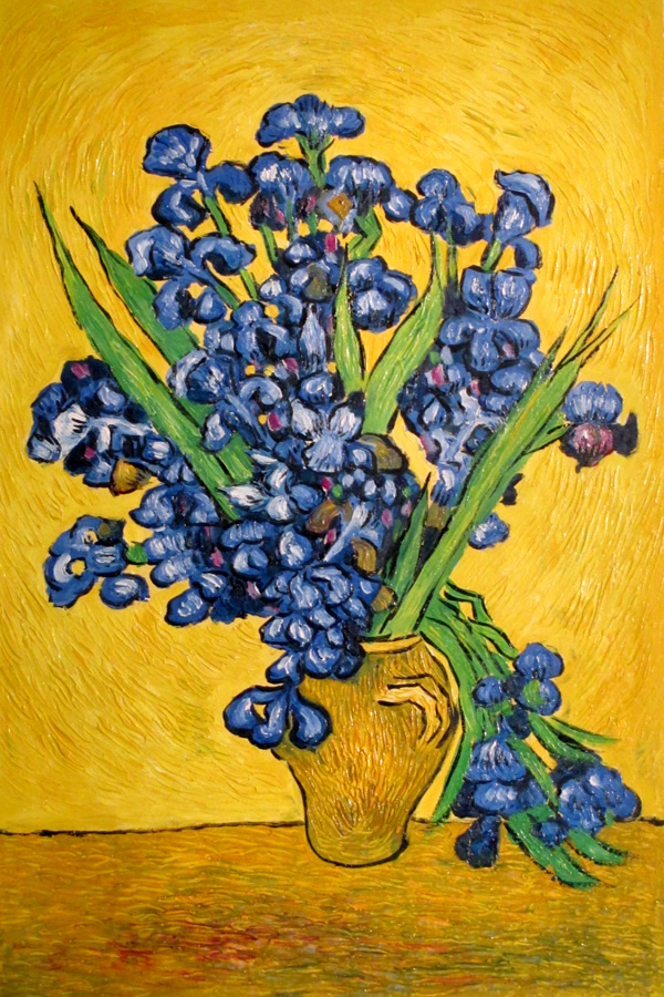 Studying Van Gogh