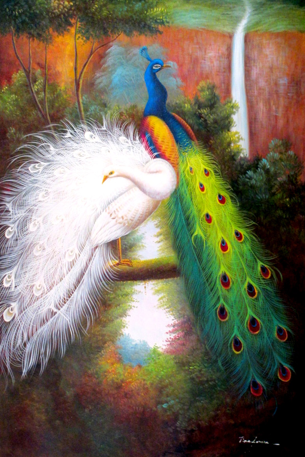 Peacocks