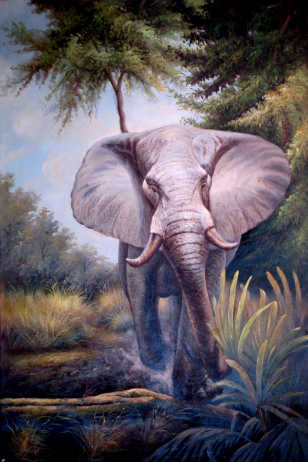 Elephant