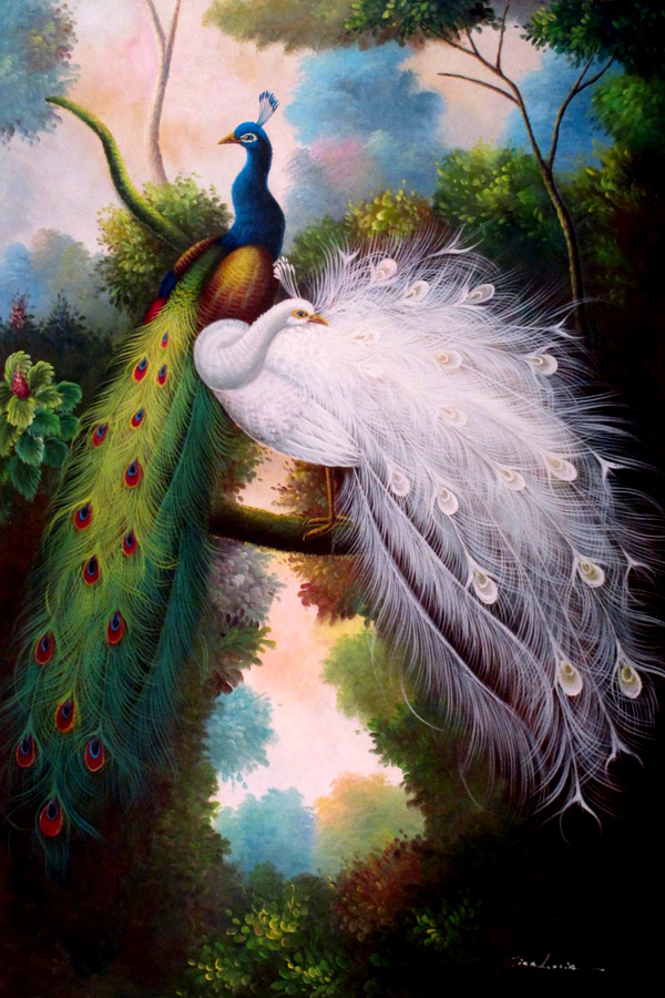 Peacocks