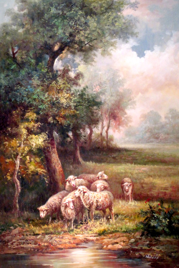 Flock of Sheep
