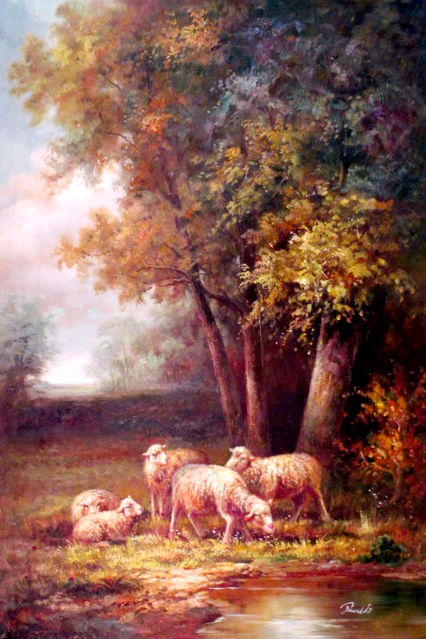 Flock of Sheep