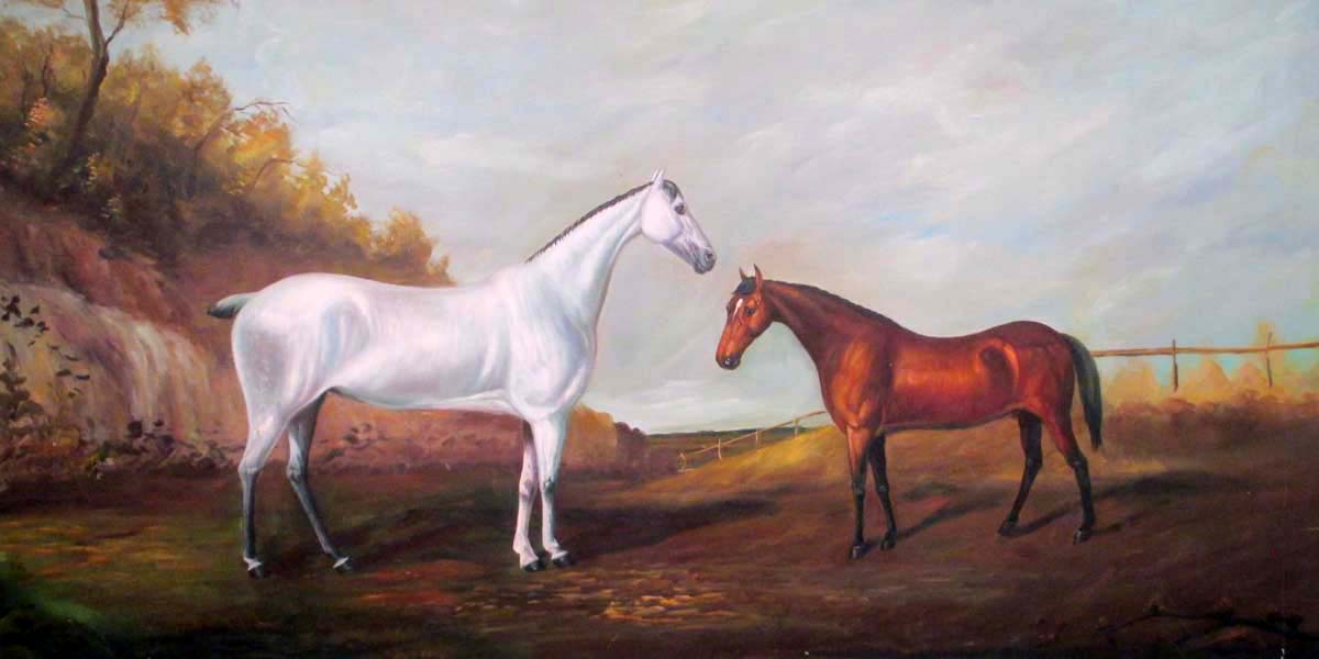 Horses by  zhouwei
