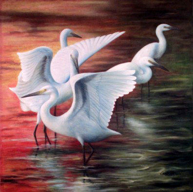 Birds 