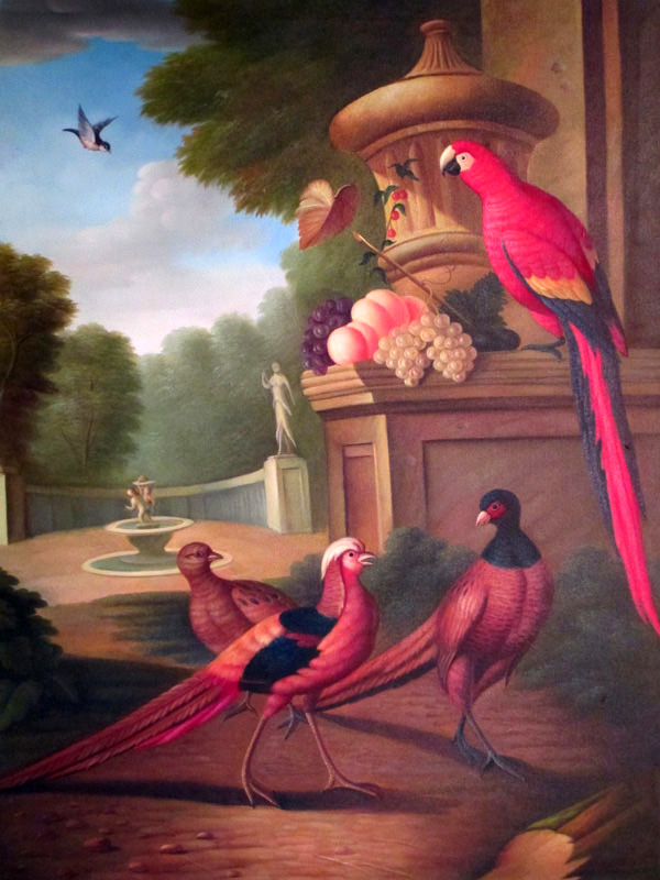 Birds