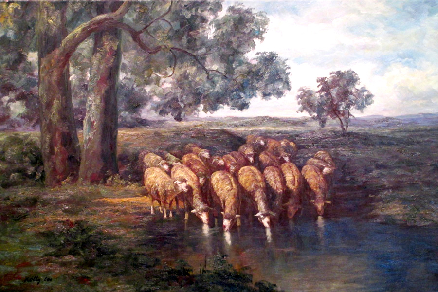 Sheep