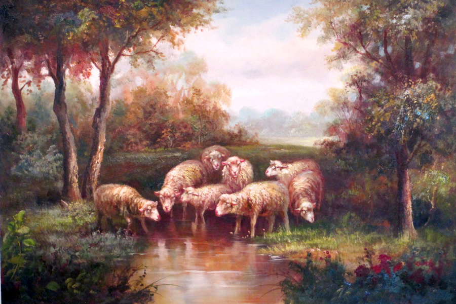 Sheep
