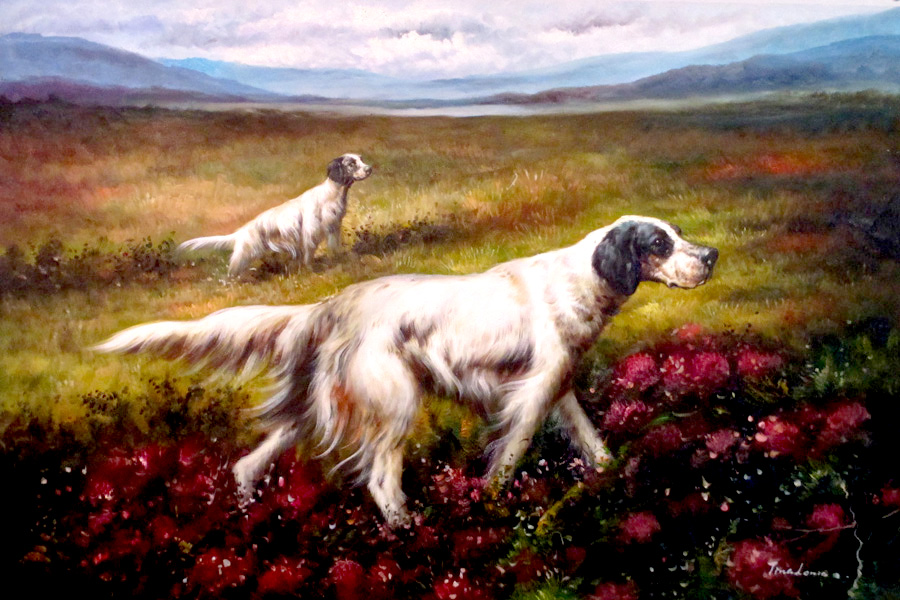 Dogs