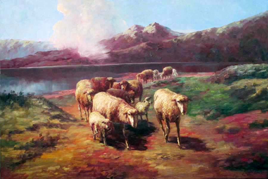 Flock of sheep