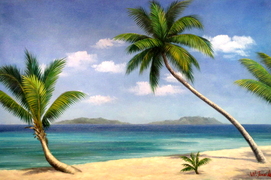 Palm Trees