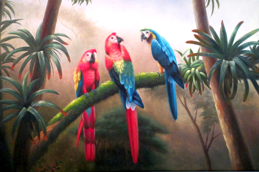 Parrots
