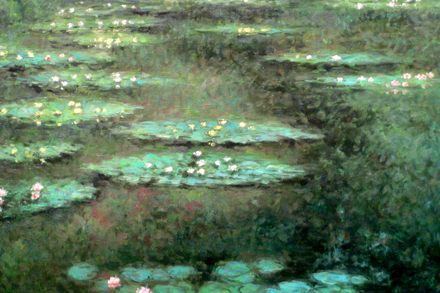 Lily pond