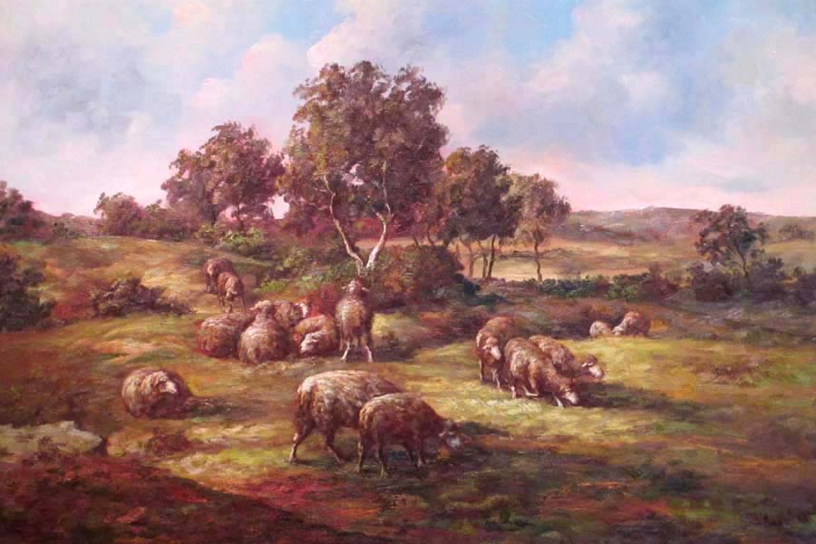Flock of sheep