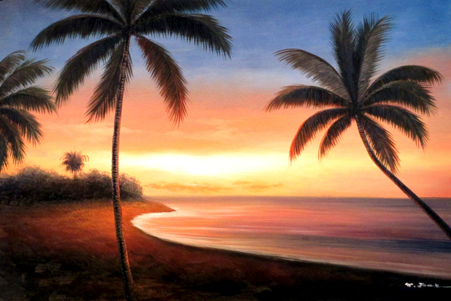 Palm Trees