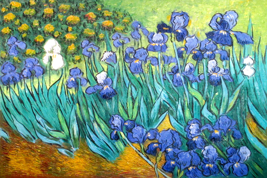  Irises, Studying Van Gogh