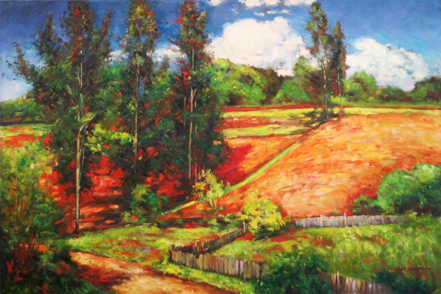  The country side