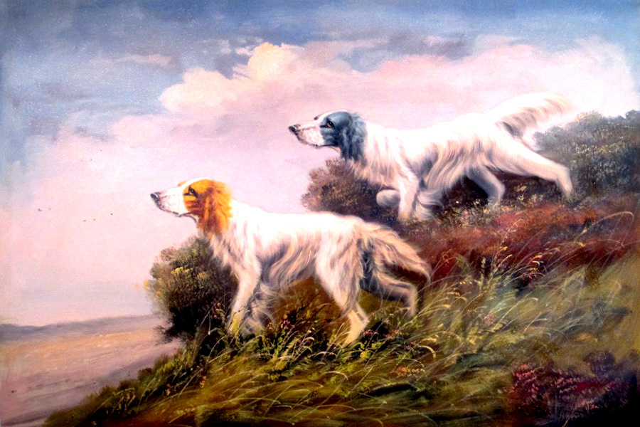 Dogs
