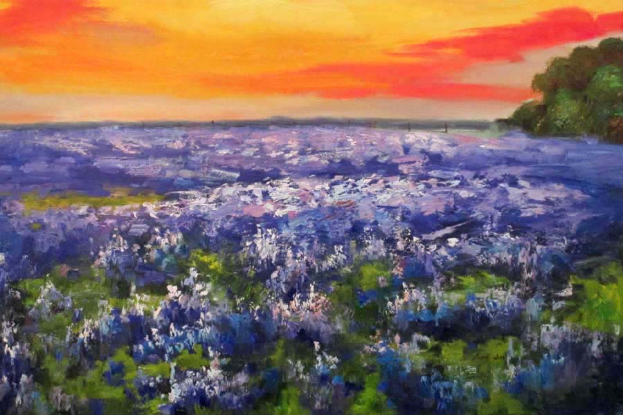 Landscape by Barry Liu