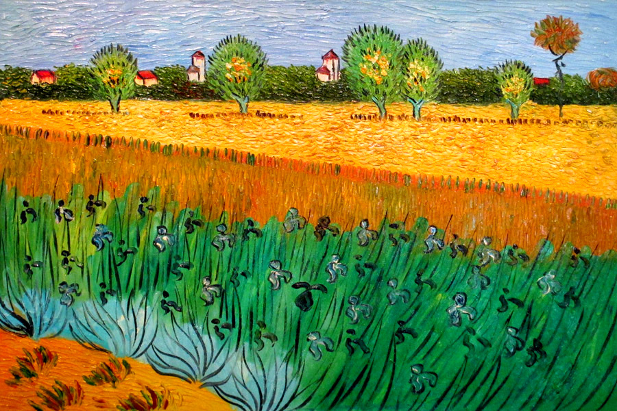 Studying Van Gogh