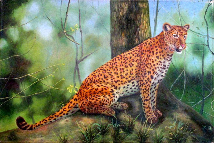 Leopard