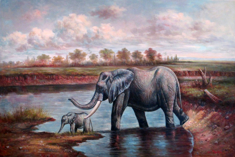 Elephants